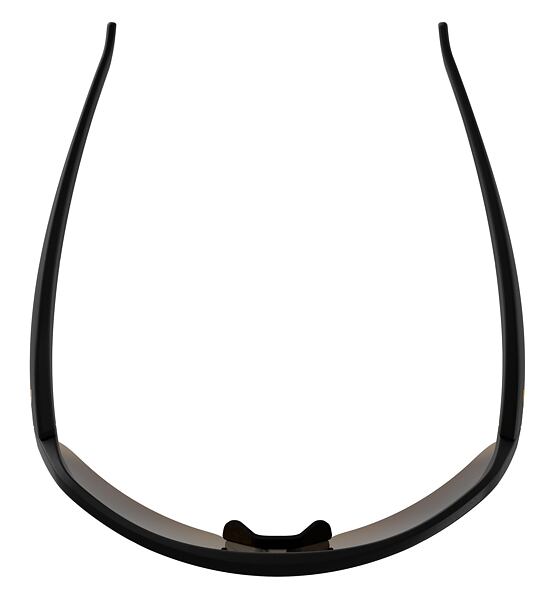 Sunglasses Alpina TURBO HR