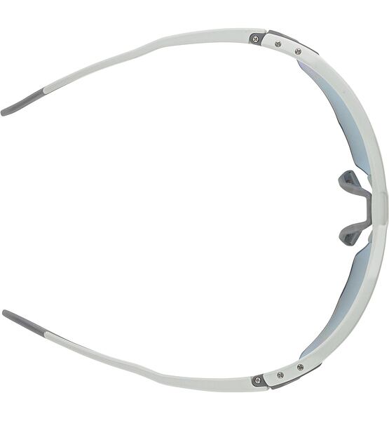 Sunglasses Alpina TWIST SIX HR QV