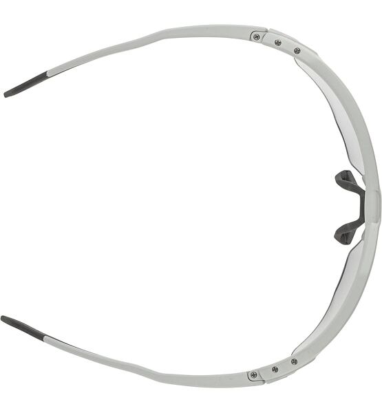 Sunglasses Alpina TWIST SIX HR V
