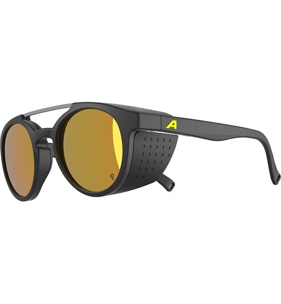 Sunglasses Alpina GLACE POL
