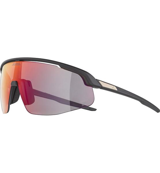 Sunglasses Alpina Turbo Pro QV