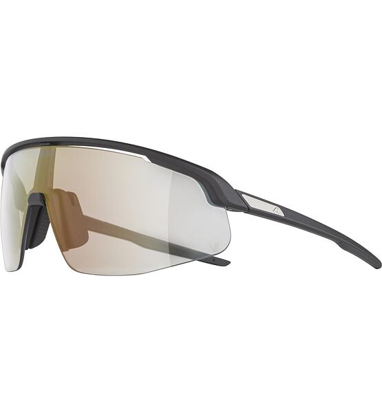 Sunglasses Alpina TURBO PRO V