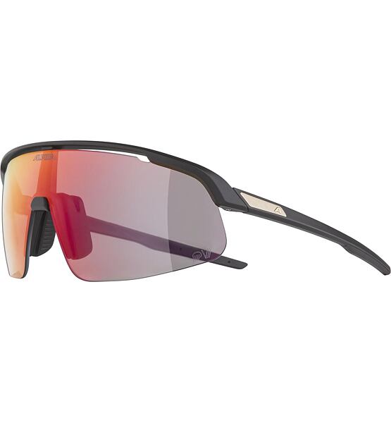 Sunglasses Alpina TURBO PRO S QV