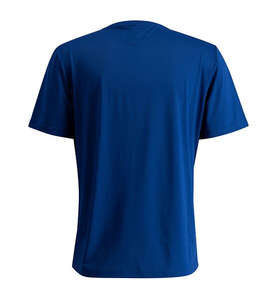 Mens sports t-shirt Swix Relay Tee M