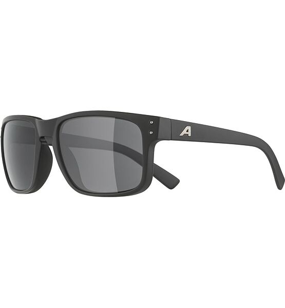 Sunglasses Alpina KOSMIC