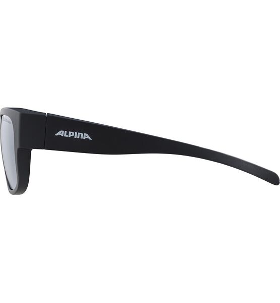 Sunglasses Alpina OVERVIEW II P
