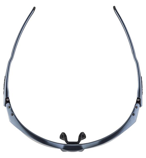 Sunglasses Alpina Twist Five HR