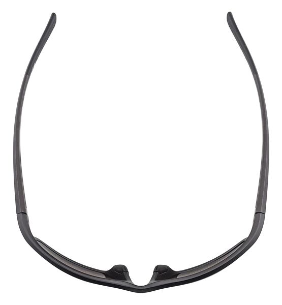 Sunglasses Alpina DEFEY