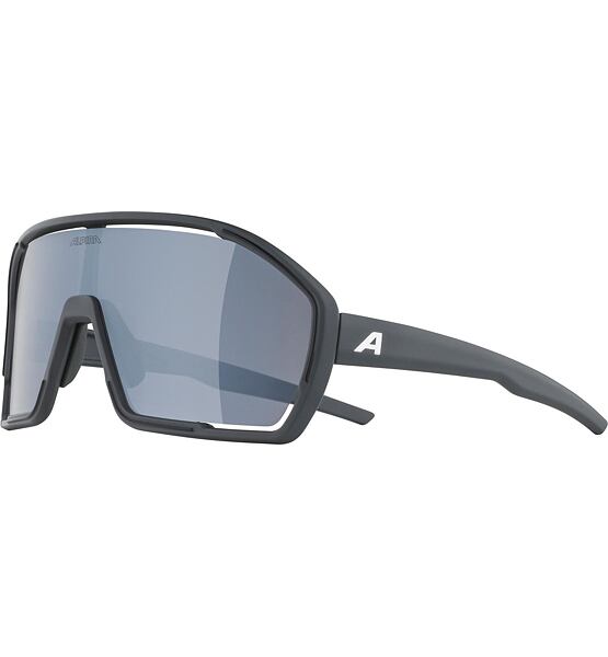 Sunglasses Alpina BONFIRE
