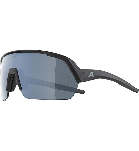 Sunglasses Alpina TURBO HR