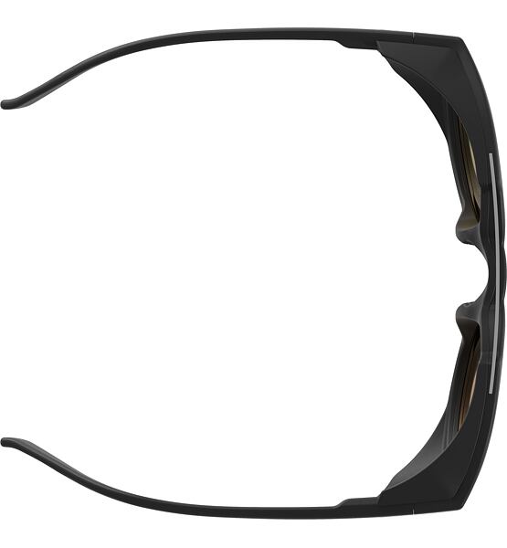 Sunglasses Alpina GLACE POL