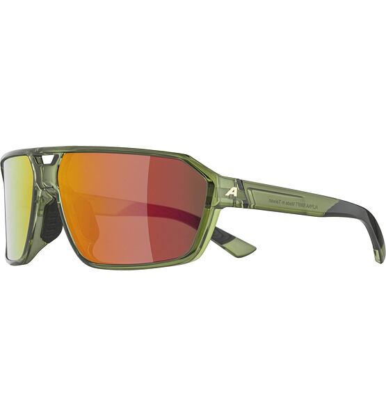 Sunglasses Alpina SWIFT