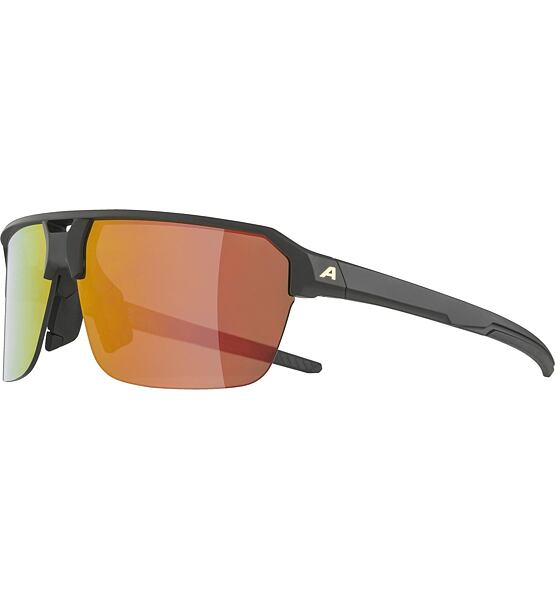 Sunglasses Alpina SWIFT HR