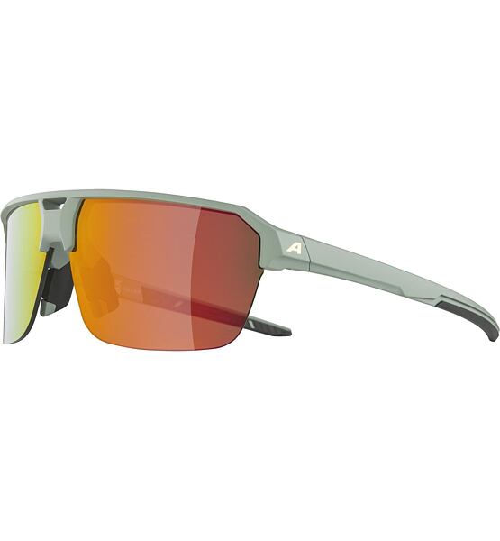 Sunglasses Alpina SWIFT HR