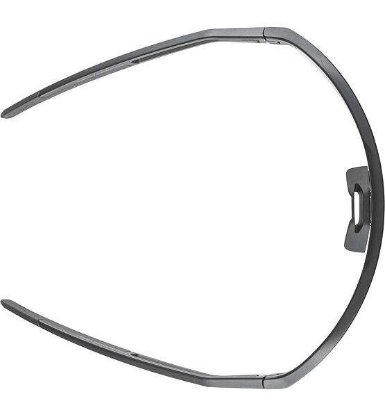 Sunglasses Alpina SONIC HR V