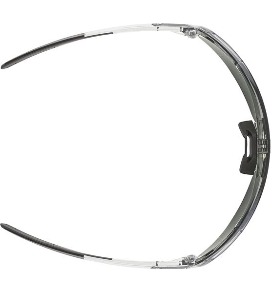 Sunglasses Alpina Turbo Pro Q-Lite