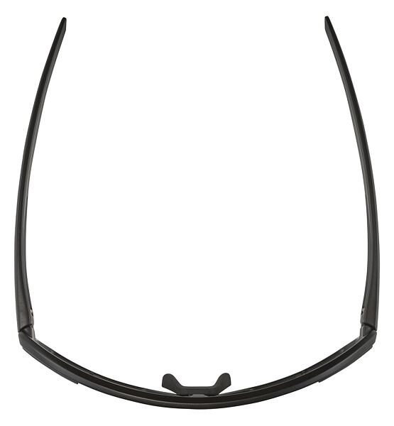 Sunglasses Alpina Bonfire Q-Lite