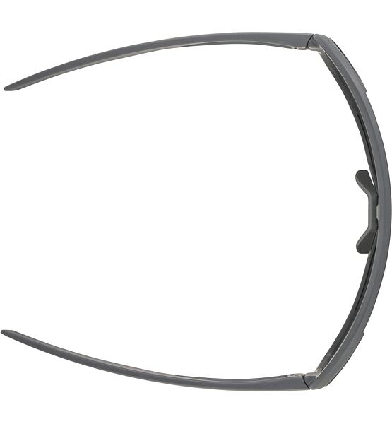 Sunglasses Alpina BONFIRE