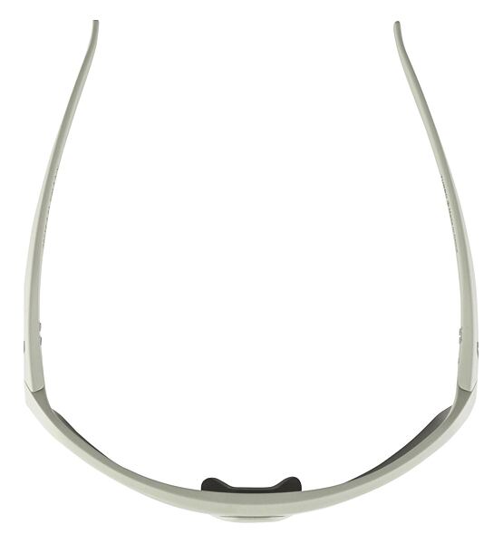 Sunglasses Alpina TURBO HR