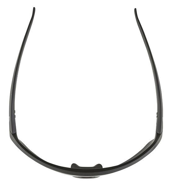 Sunglasses Alpina TURBO HR