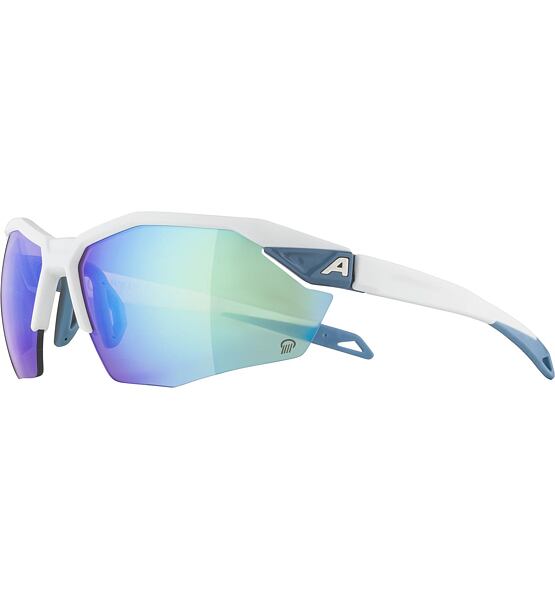 Sunglasses Alpina TWIST SIX S HR Q