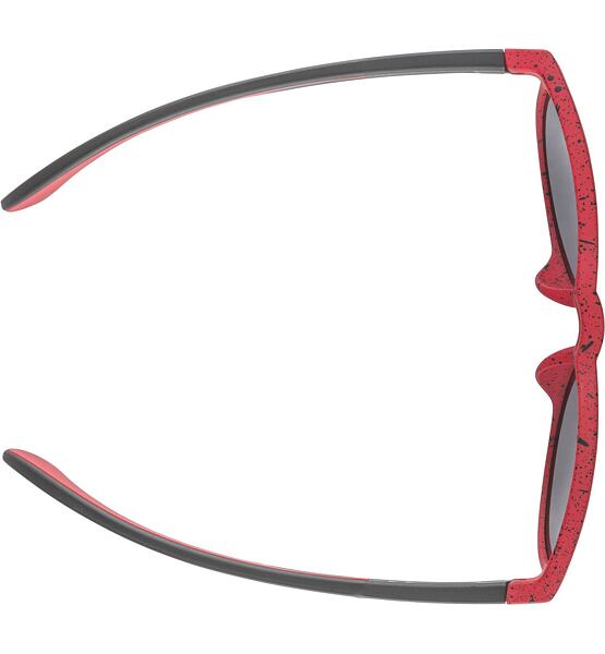 Sunglasses Alpina JOLA