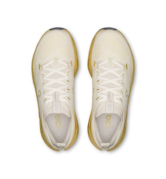 Mens Road Running Shoes On Cloudsurfer Max