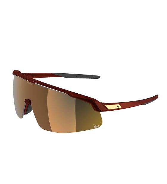 Sunglasses Alpina Turbo Pro S Q-Lite