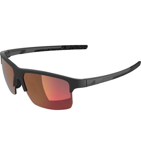 Sunglasses Alpina Eagle Q-Lite