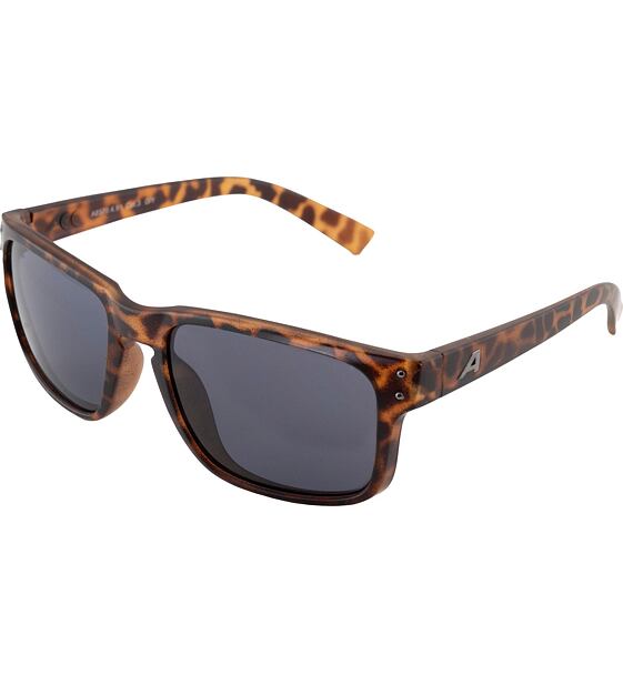 Sunglasses Alpina KOSMIC