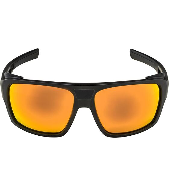 Sunglasses Alpina SKYWALSH