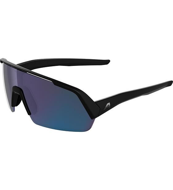 Sunglasses Alpina TURBO HR