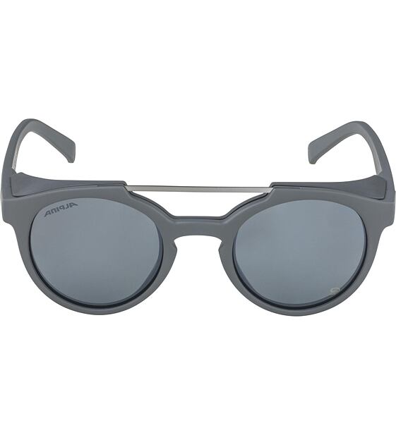 Sunglasses Alpina GLACE POL