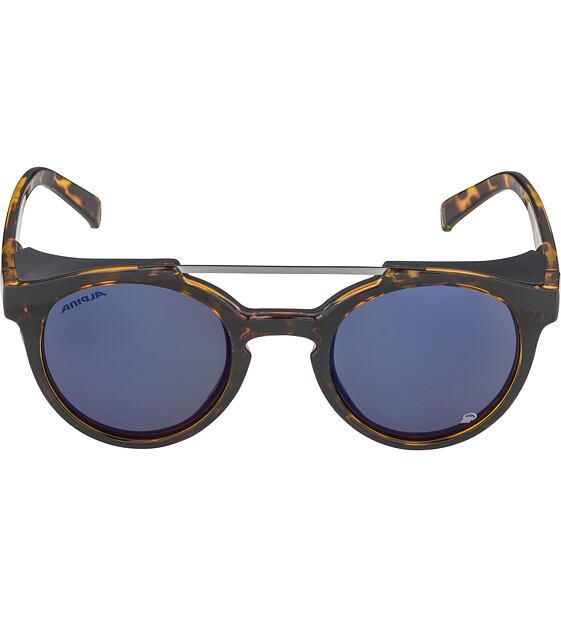 Sunglasses Alpina GLACE POL