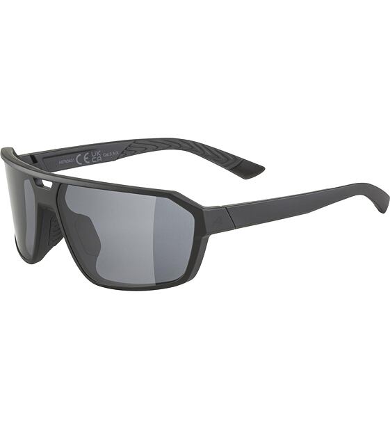 Sunglasses Alpina Swift