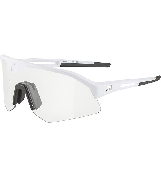 Sunglasses Alpina SONIC HR V