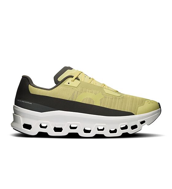 Mens leisure shoes On Cloudmonster Void