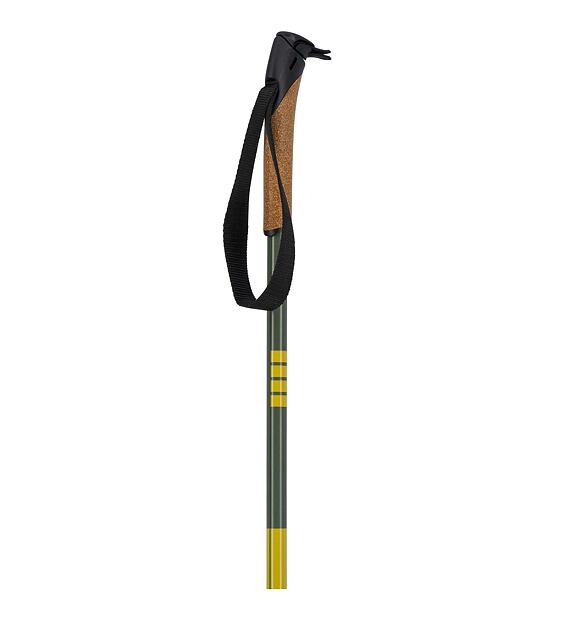 Cross-country poles Swix Infinity Touring Alu pole