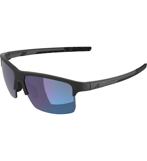 Sunglasses Alpina Eagle Q-Lite