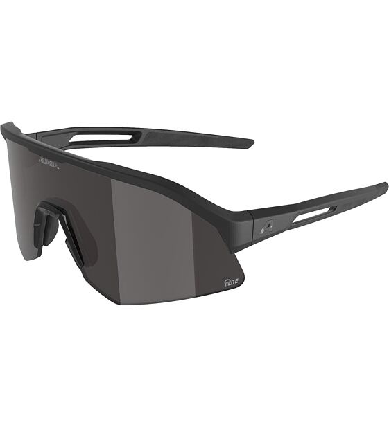 Sunglasses Alpina Sonic HR M Q-Lite