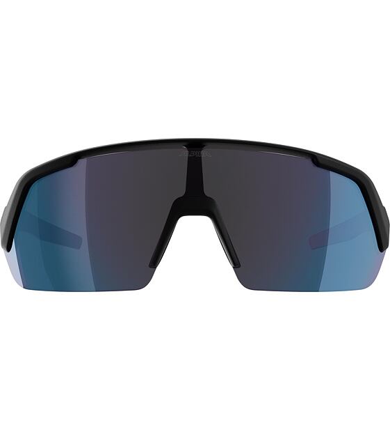Sunglasses Alpina TURBO HR