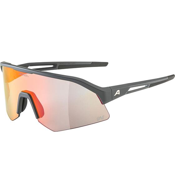 Sunglasses Alpina SONIC HR QV