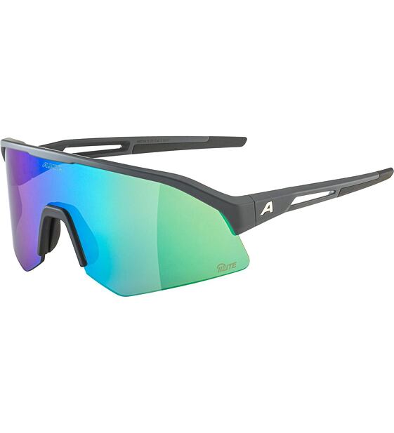 Sunglasses Alpina Sonic HR Q-Lite