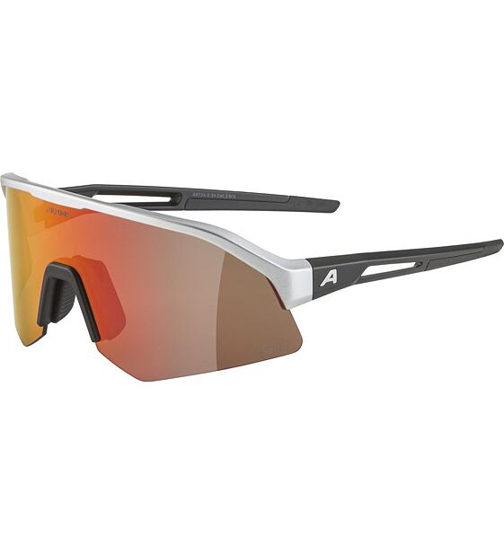 Sunglasses Alpina Sonic HR Q-Lite