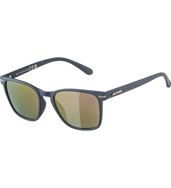 Sunglasses Alpina YEFE POL