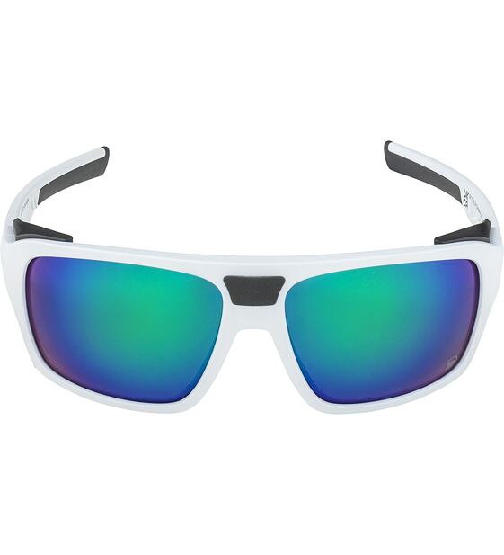 Sunglasses Alpina SKYWALSH Q