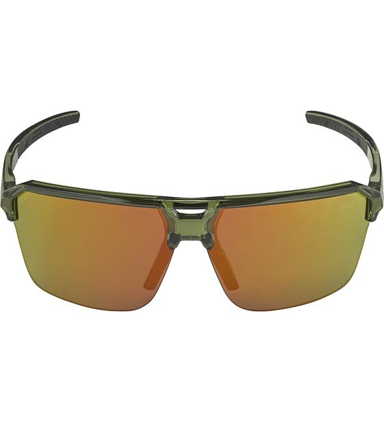 Sunglasses Alpina SWIFT HR