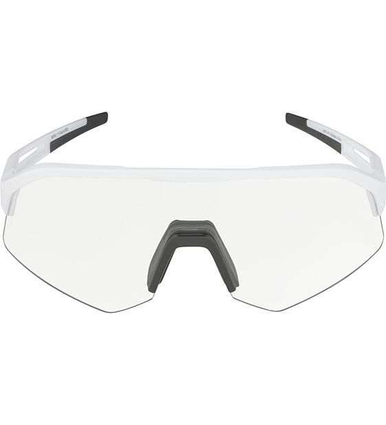 Sunglasses Alpina SONIC HR V