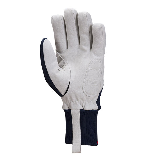 Glove Swix Powder Glove