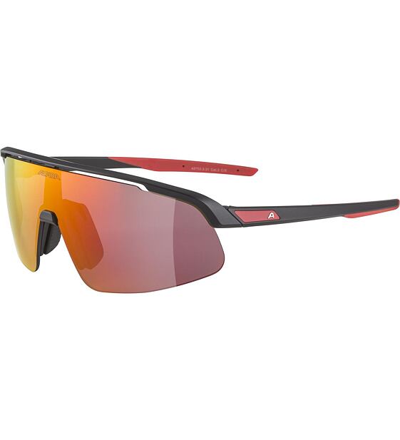Sunglasses Alpina TURBO PRO YOUTH